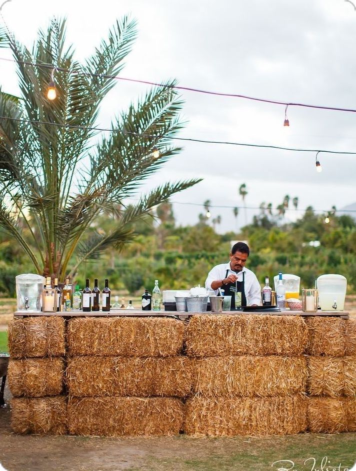 Large outdoor hay bale bar set against a backdrop of tall palm trees and bright blue skies
